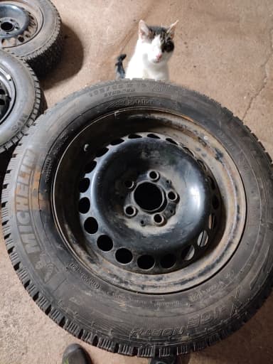 Neumáticos de invierno Mercedes con clavos Michelin en llantas de acero