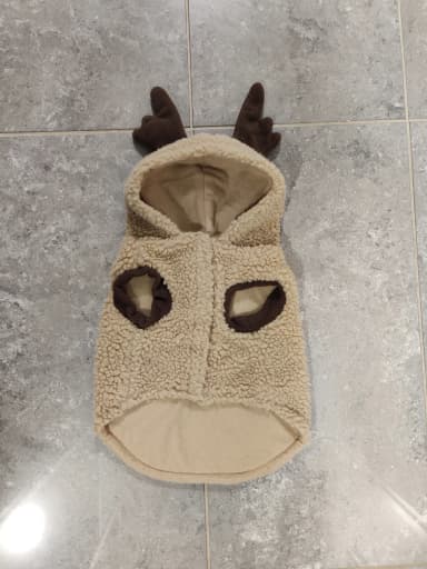 Pienen koiran söpö poroasu