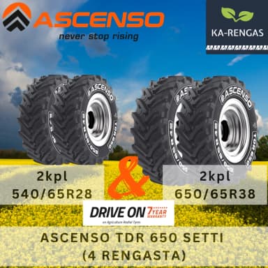 Ascenso Traktorreifen-Set 540/65R28 vorne und 650/65R38 hinten