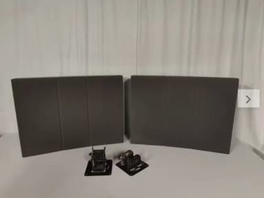 Bang & Olufsen RL 60.2 Typ 6513 Lautsprecher in gutem Zustand