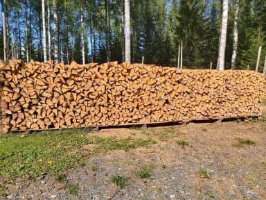 Dry firewood logs 40 cm in length available