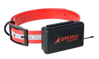 Sistemas de rastreo para perros Lafayette y Tracker a buen precio
