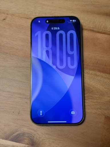 Apple iPhone 16 Pro 256 GB in hervorragendem Zustand mit Hülle