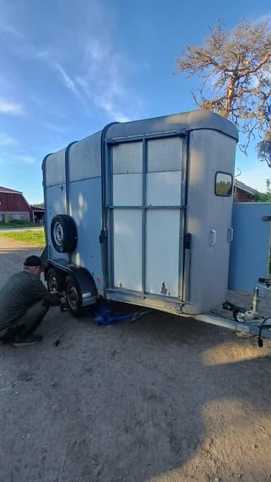 Remolque para caballos Ifor Williams Hunter HB505 con neumáticos de invierno