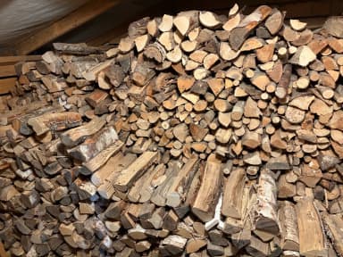 Dry mixed firewood available in large quantity