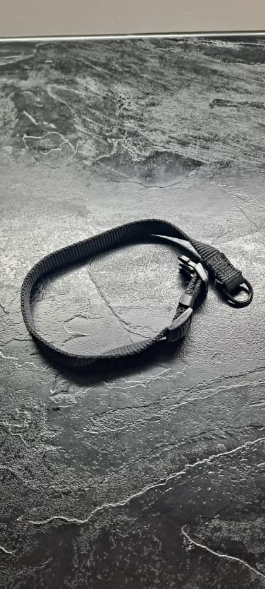 Collar sencillo para perro