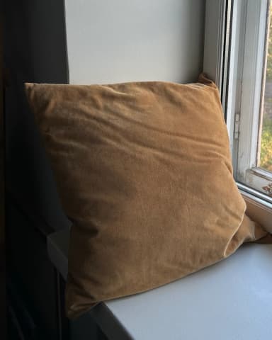 H&M Home samettityynynpäällinen 50x50 cm sinappi