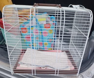 Transportín para gato en buen estado