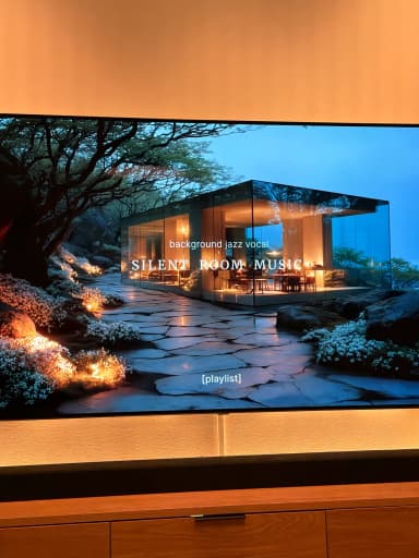LG C1 65 Zoll OLED Fernseher mit klarem Bild und Ton