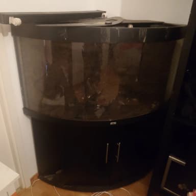 Acuario y terrario de esquina Juwel con necesidad de reparación