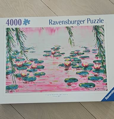 4000-piece jigsaw puzzle in good condition