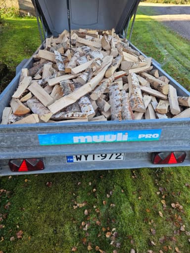 Seasoned birch firewood in trailer load available