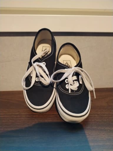 Gut erhaltene Vans-Sneaker mit wenig Gebrauch