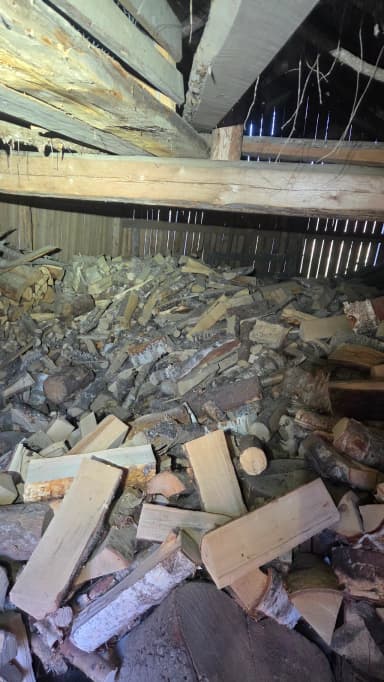 Gemischtes Brennholz in verschiedenen Größen