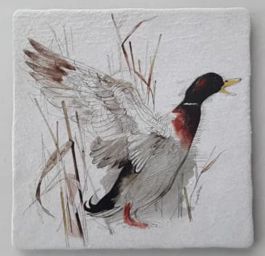 Posavasos / Salvamanteles - Pato