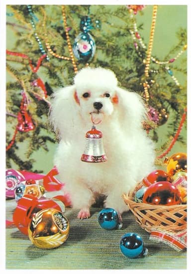 Retro-Weihnachtskarte mit Hund- und Pudelmotiv