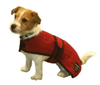Abrigo refrescante para perros Catago rojo 55 cm
