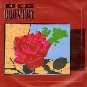Single de vinilo 7" de Big Country Where The Rose Is Sown