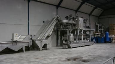 Línea de producción de champiñones Turatti 3TN/H en España