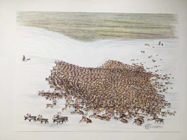 Nils Nilsson SKUM print 'Med kalvarna på Högfjället' in color offset