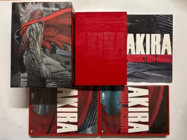 Seltene Akira Special Edition DVD-Box japanische Version in makellosem Zustand