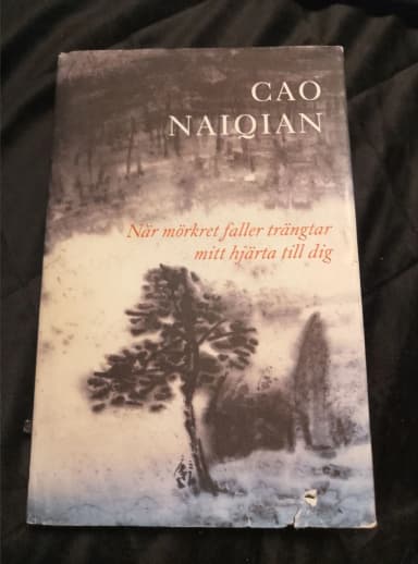 When Darkness Falls longs my heart to you by Cao Naiqian 2004