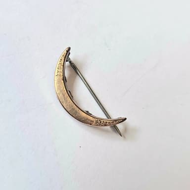 Broche lunar victoriano antiguo con precio inicial de 150 SEK