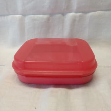 Nueva caja de almacenamiento Tupperware mini delicate