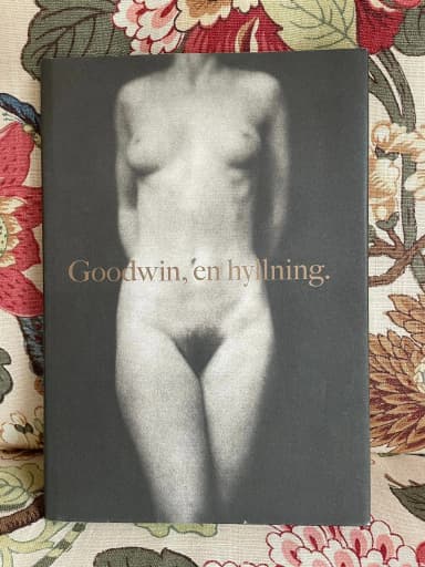 Goodwin Hommage von Henry B Goodwin
