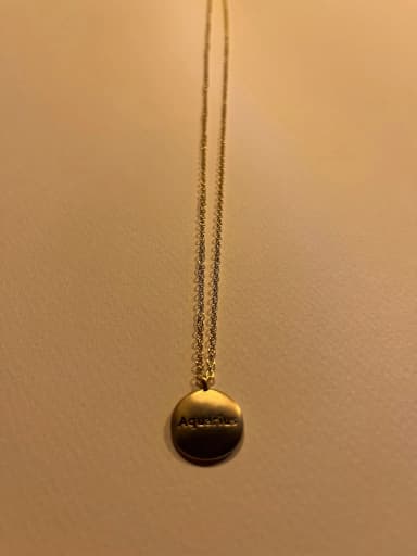 Aquarius zodiac sign necklace
